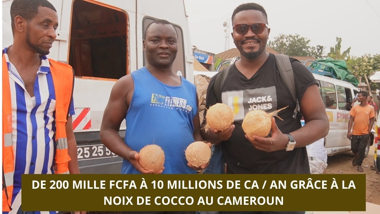 GROS REVENUS GARANTIS AVEC LA DISTRIBUTION DE NOIX DE COCO.