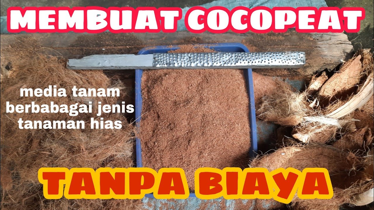 Cara membuat cocopeat dengan mudah, tanpa biaya || alat penghancur cocopeat