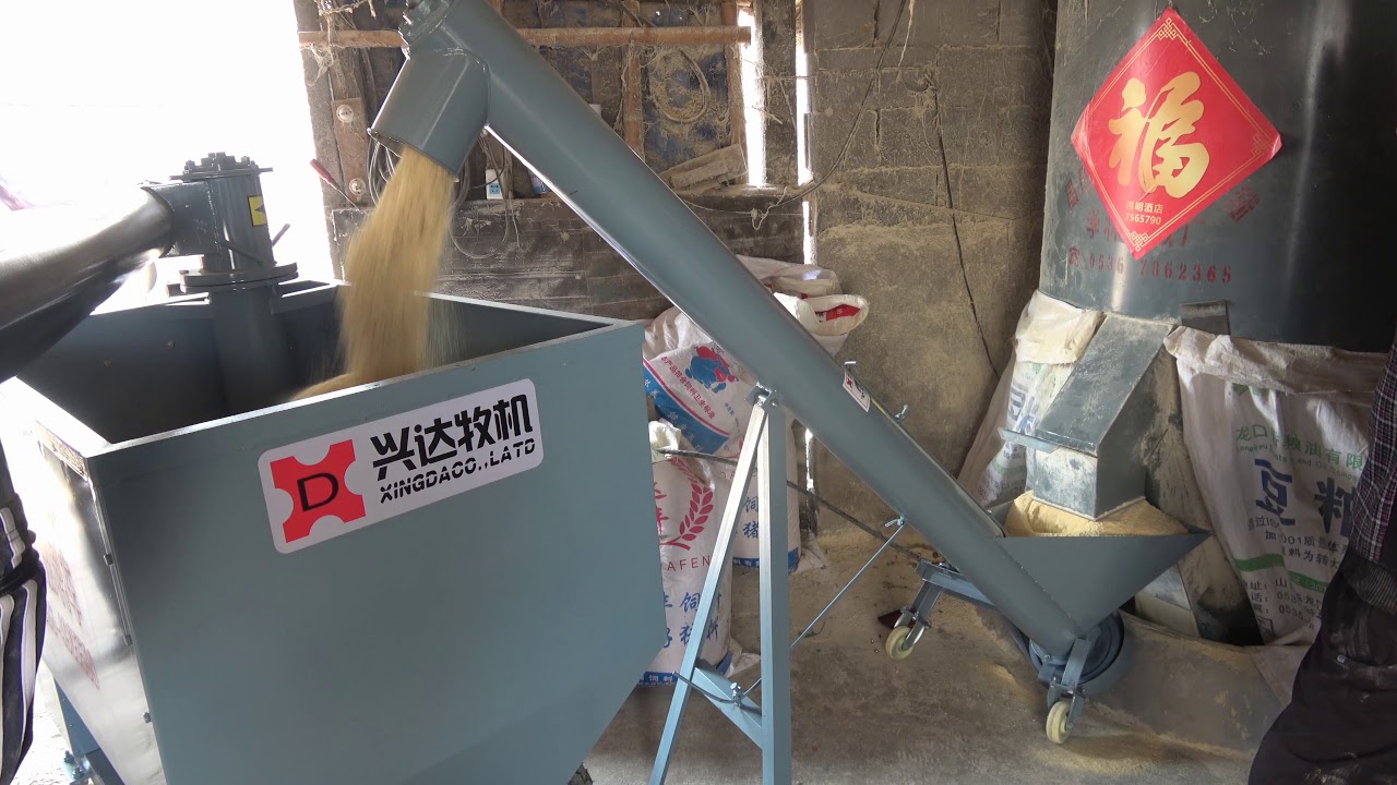 Xingda pig husbandry machine automatic feeding system  Automatic Pig Feeder