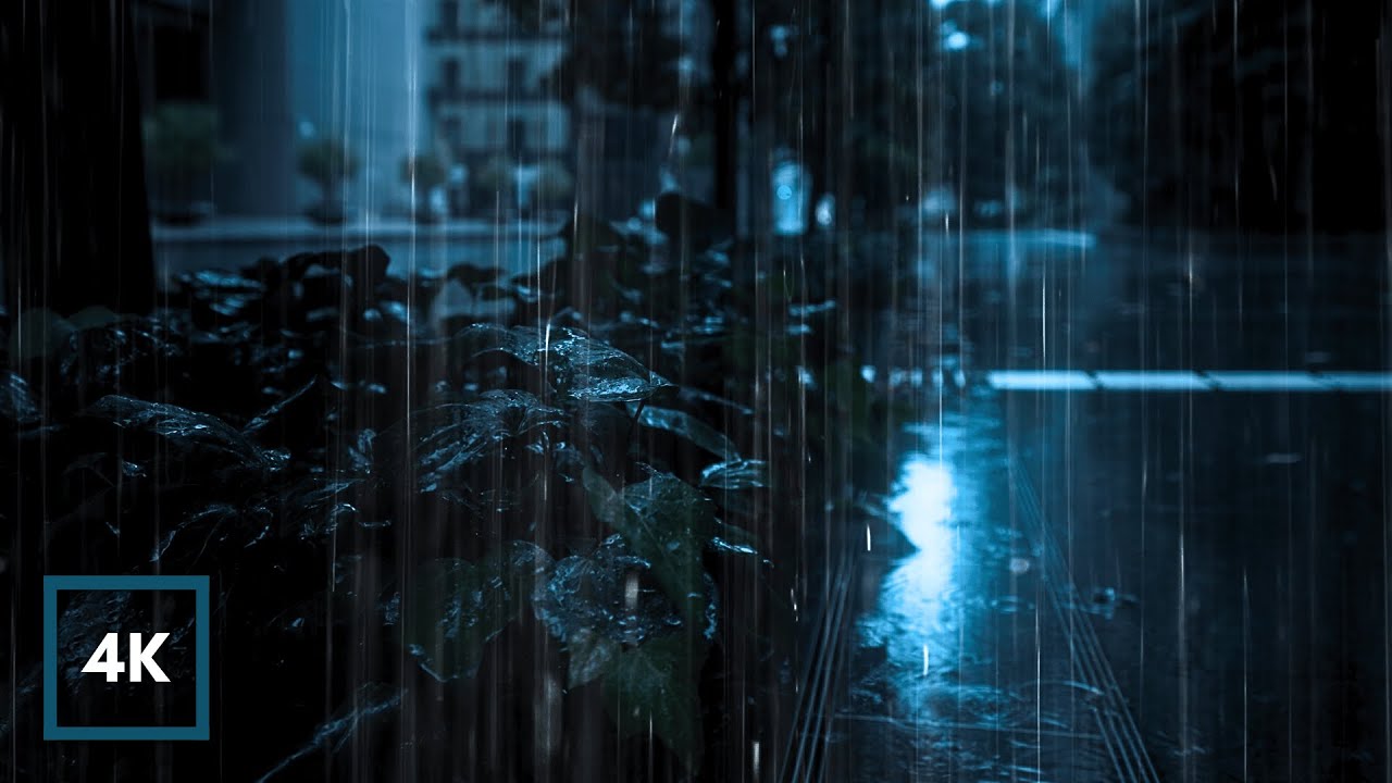 HEAVY RAIN for Deep SLEEP. Rain on Leaves for Insomnia Relief. Rain Sounds in City 12 HOURS