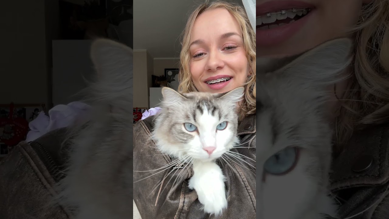 MOJE KOTKI