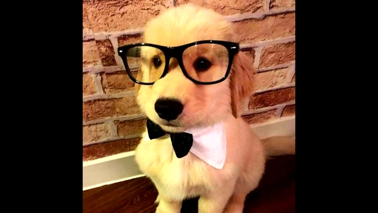 [FREE FOR PROFIT] Hyperpop x Pop Type Beat - 