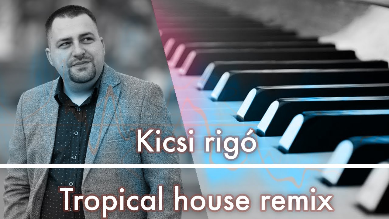 Szabó Jocó: Kicsi rigó (Tropical house remix)
