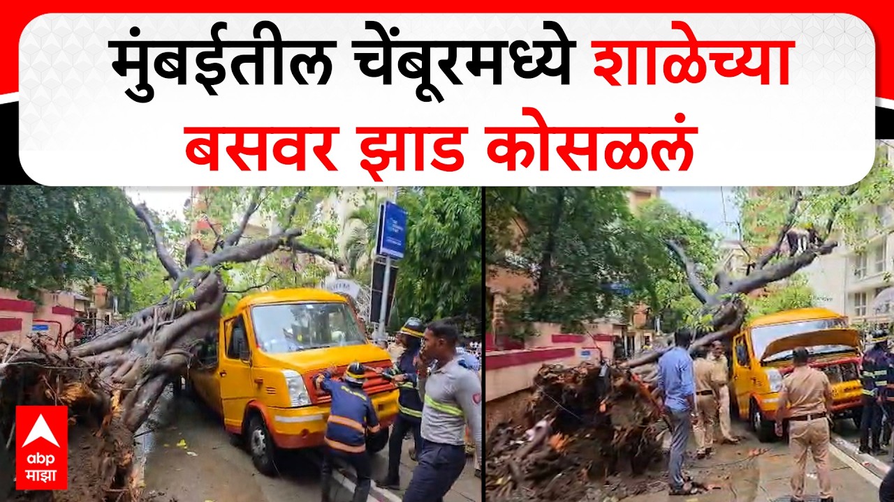 Mumbai Chembur Tree Collapse on School Bus : मुंबईतील चेंबूरमध्ये शाळेच्या बसवर झाड कोसळलं
