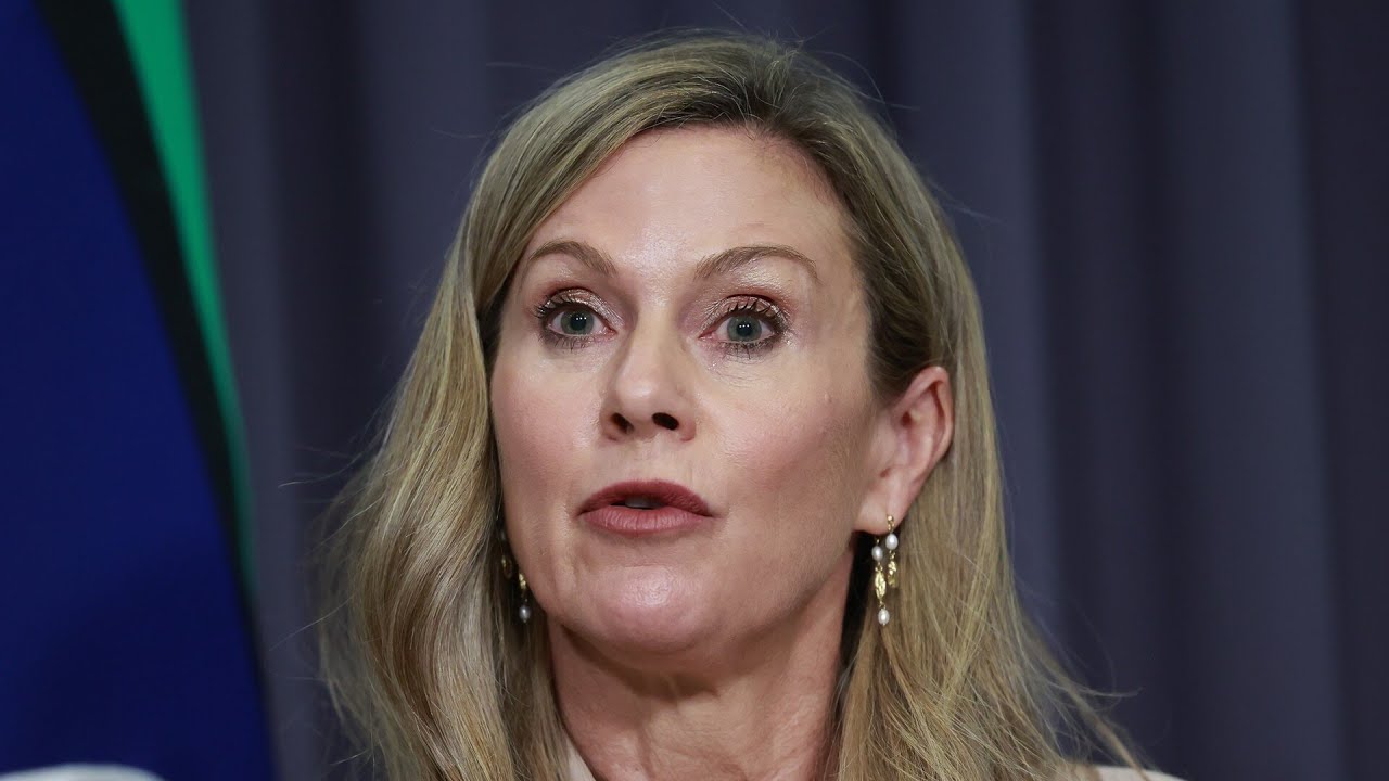 Julie Inman Grant slammed for using the social media ban to push a leftist agenda