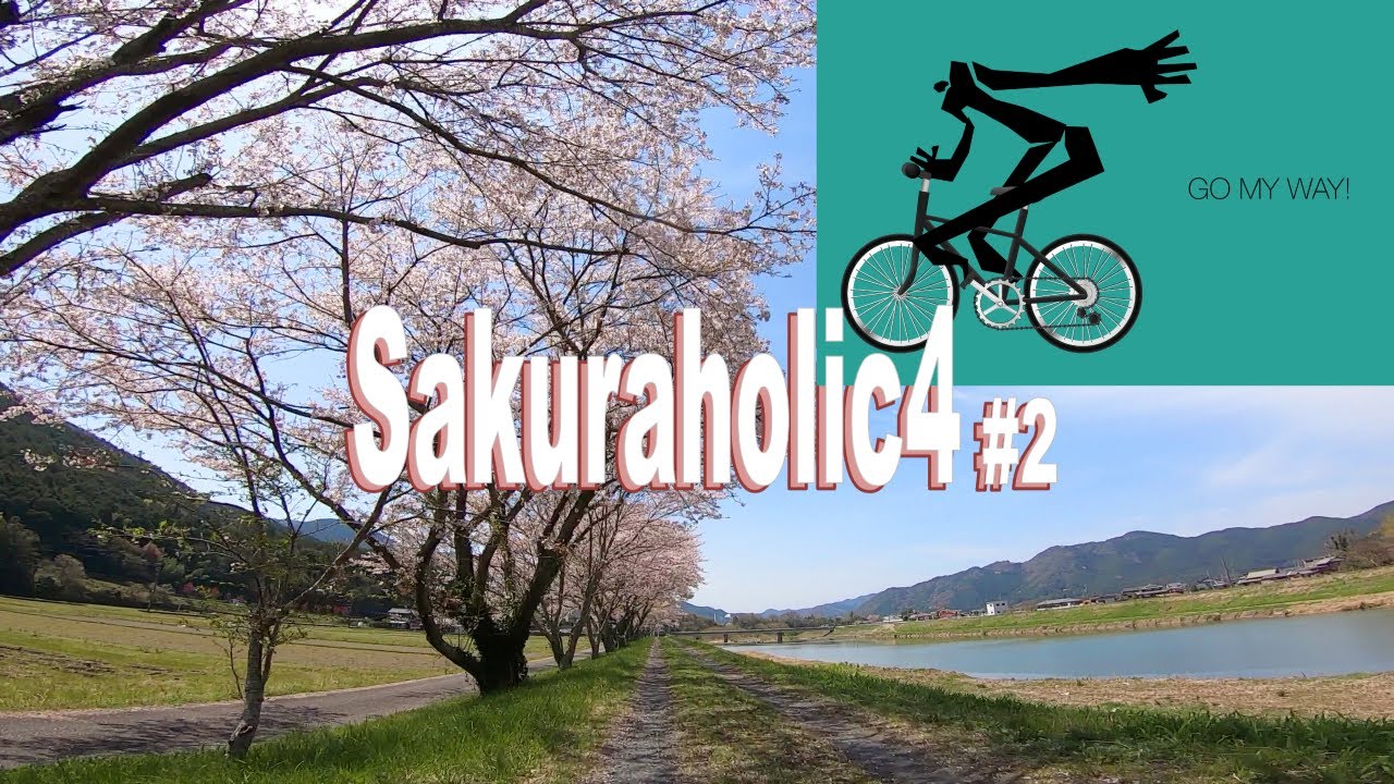 🚴🎵60min cycling in amazing pink world 🚴🎵  [ Spring in Japan ]