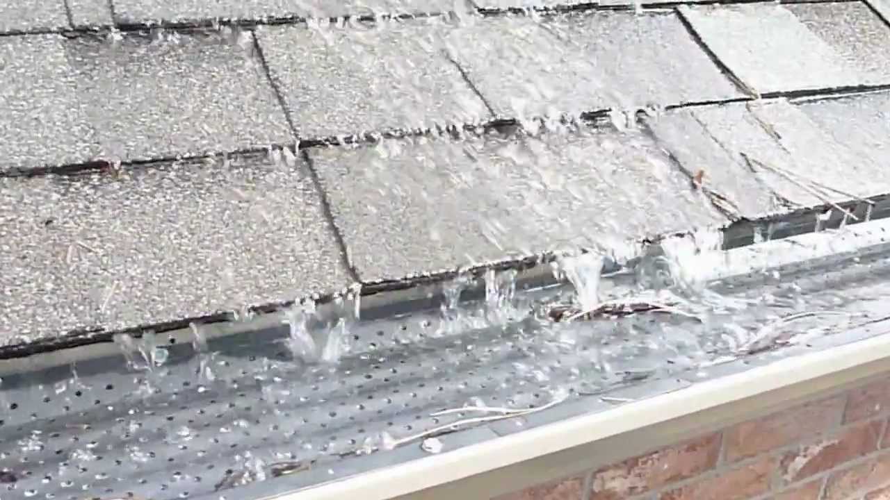 Gutter RX Leaf cover