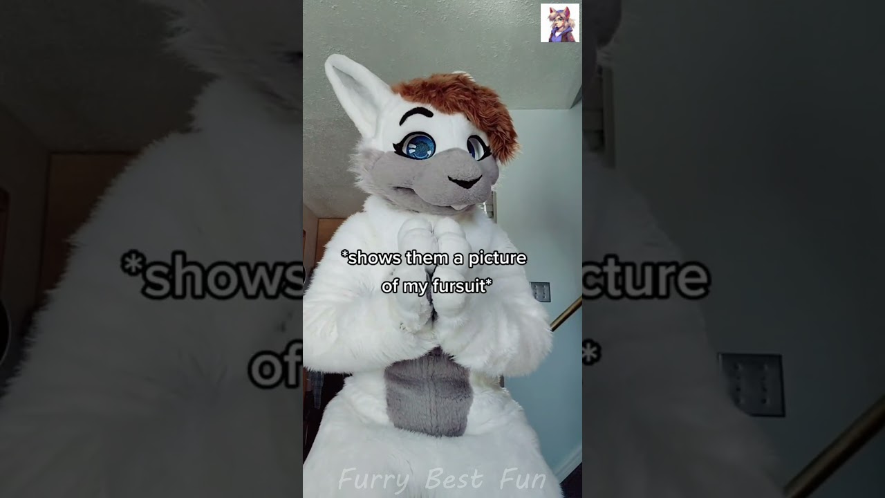 BEST Furry TikToks compilation 0726 #shorts #furrytiktok #furry  #funnyvideo  #youtube   #furries