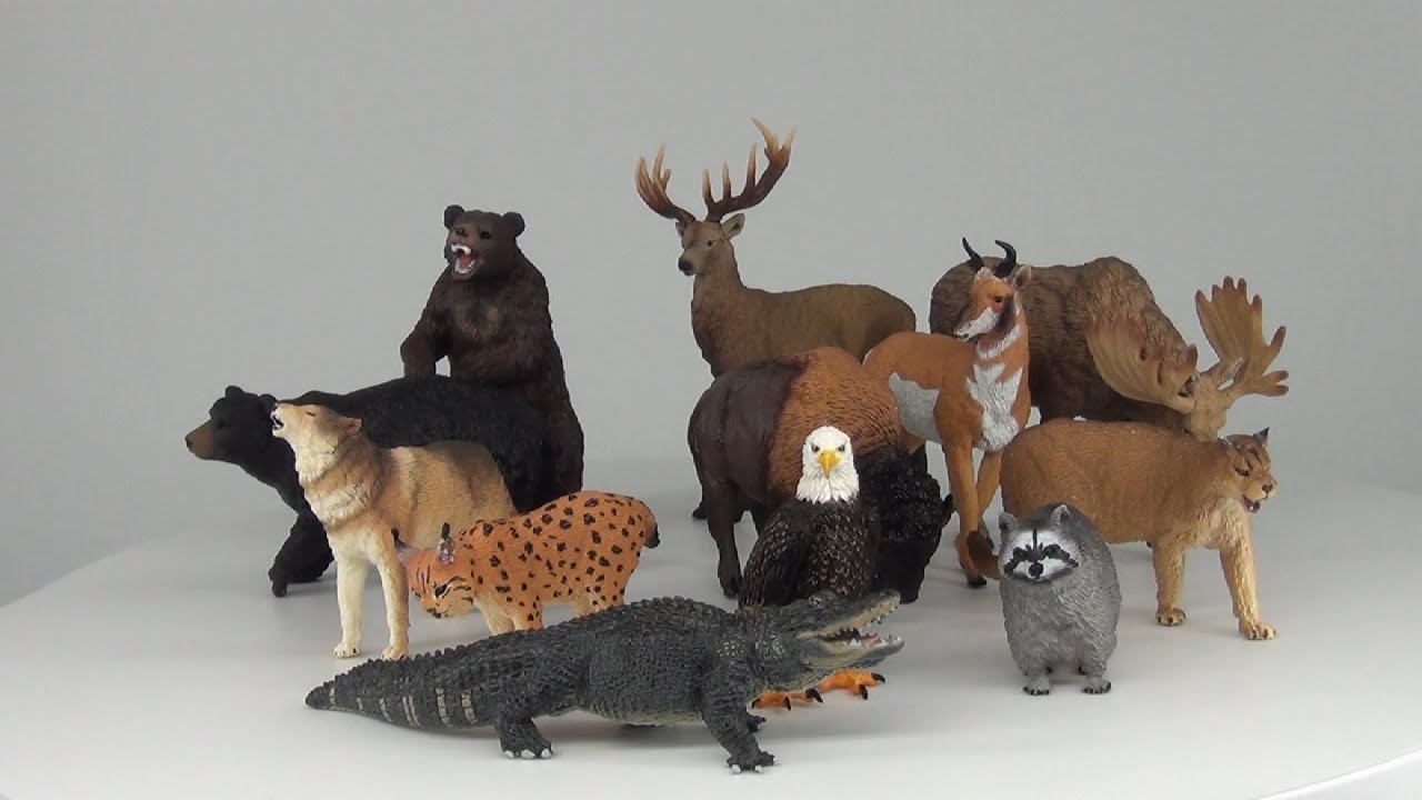 I've got 12 North American forest animals (Toymany). UNBOXING!