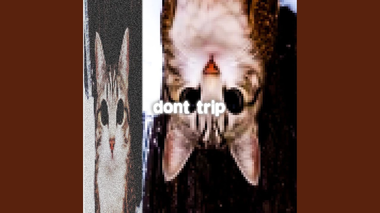 dont trip