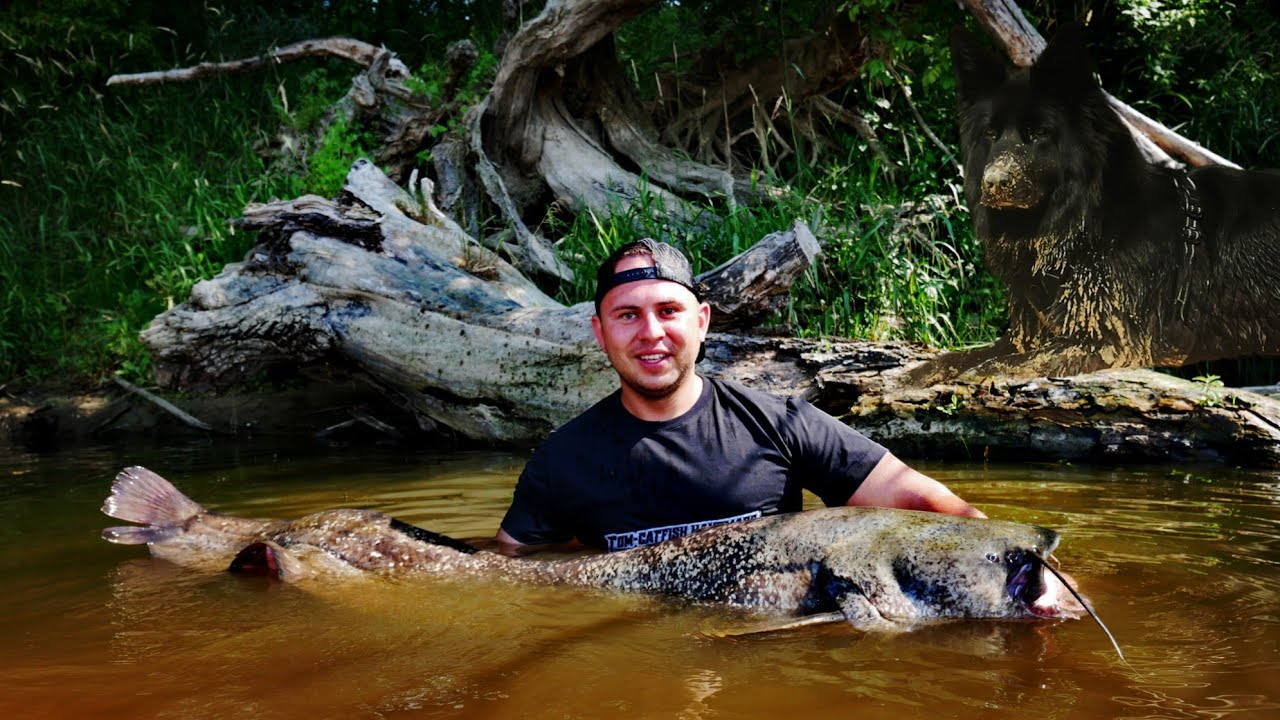 Sumowa zasidka na Wiśle. stacjonarka z Cyganem. #2024 #fishing #catfish