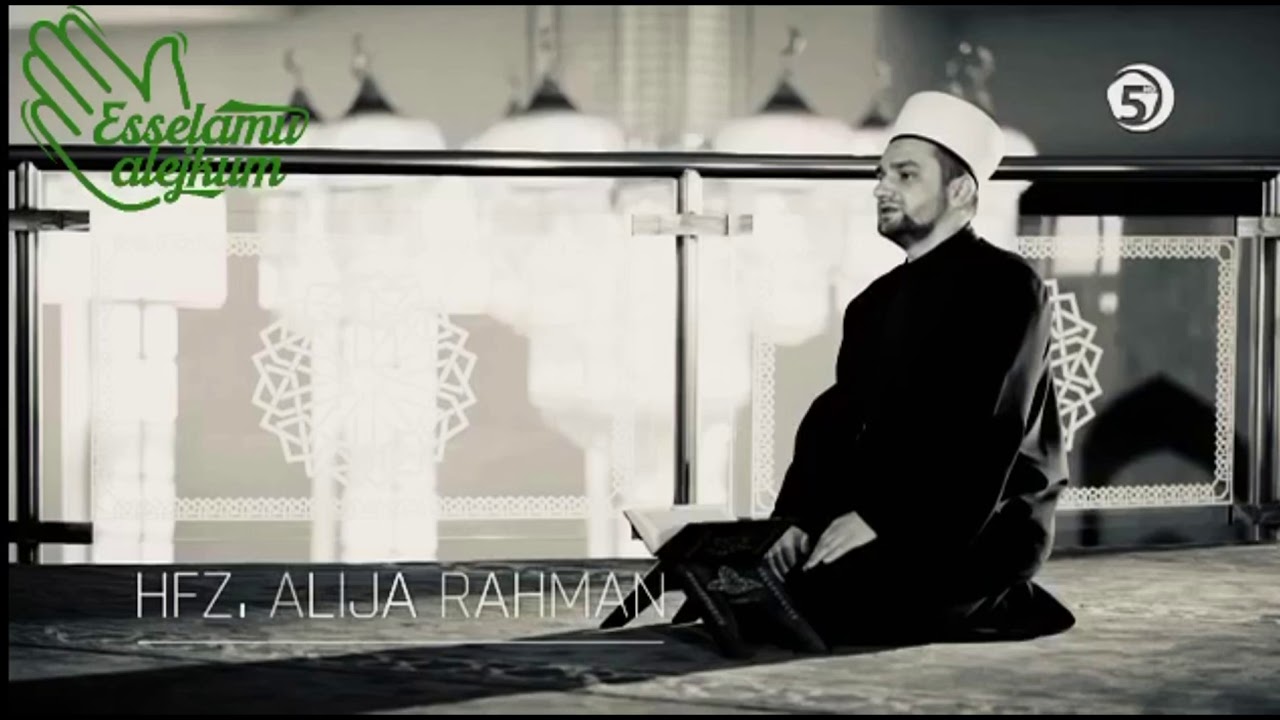 čovjek u stanju ljutnje // hfz. Alija Rahman