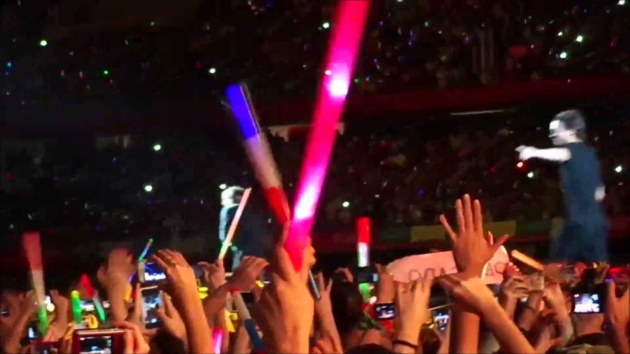 One Direction love Brasil