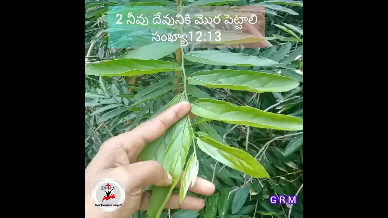 #teluguchristianmessage #telugubibleshorts#holyspirit#newJerusalemGospelBangalore