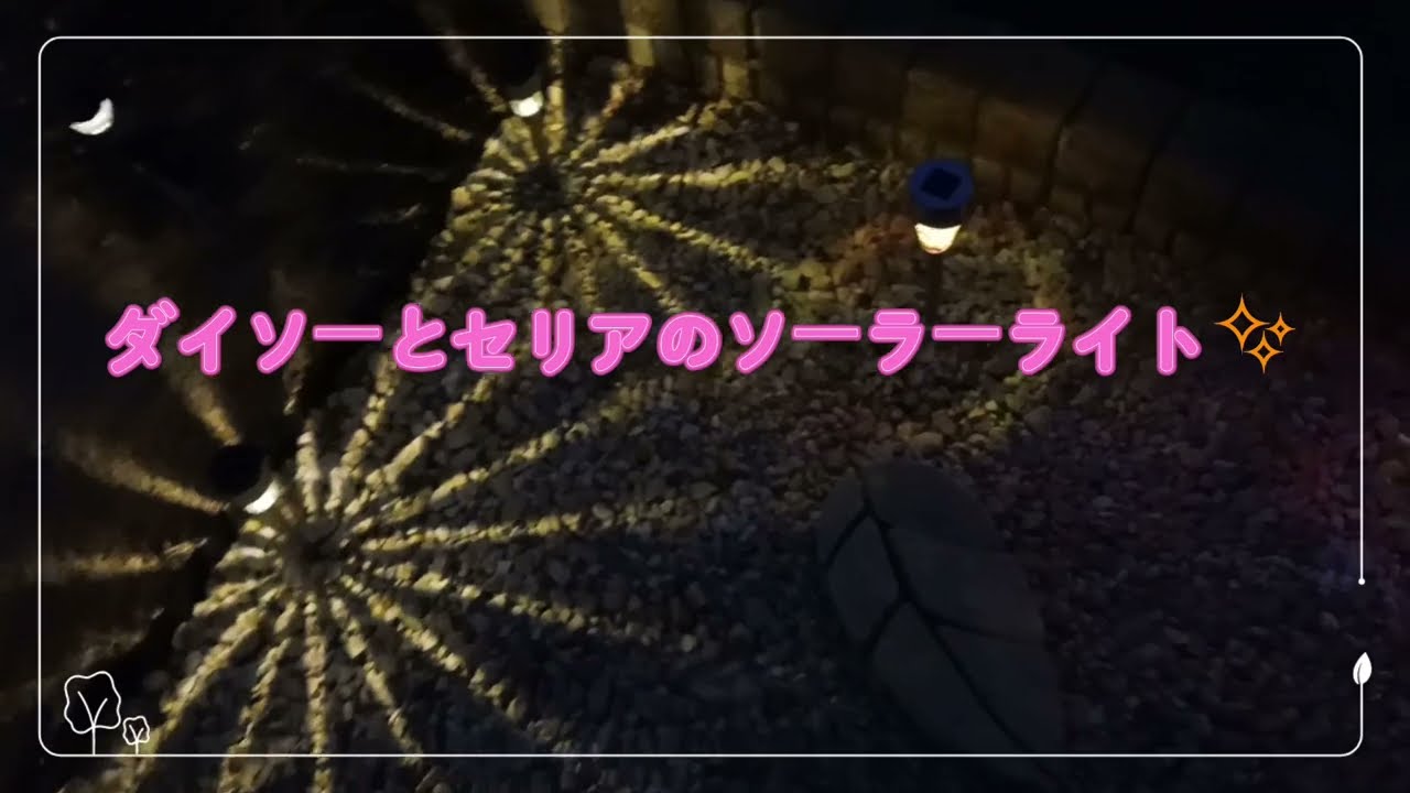 ダイソーとセリアのソーラーライト✨✨