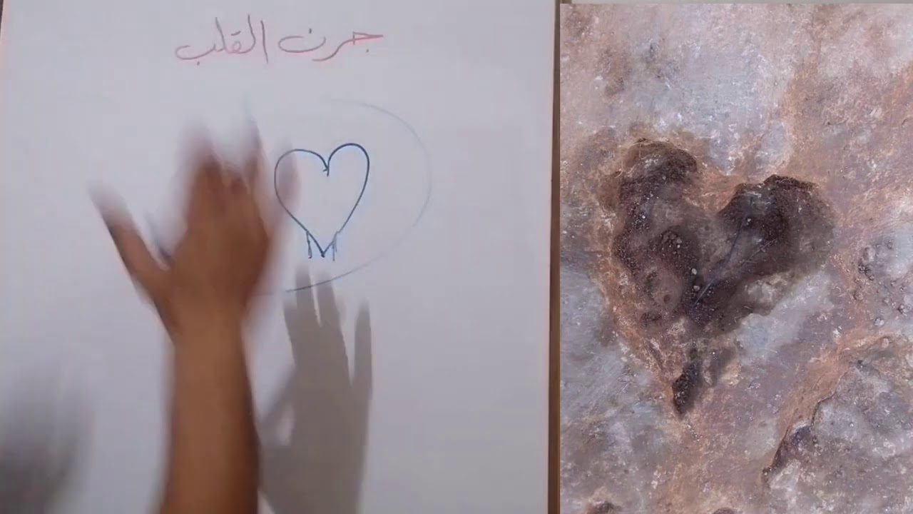 جرن القلب وكل تحليلاته وأشكاله