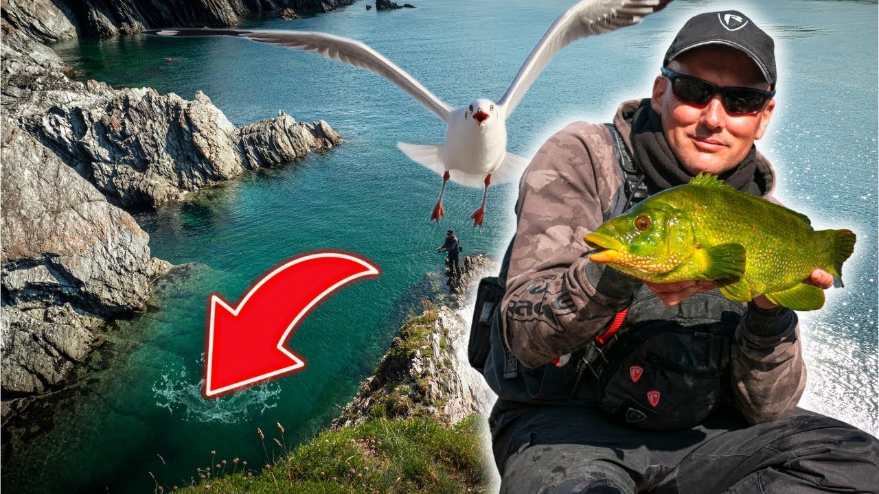 UK Shore Fishing Adventure | Simple Perch Tactics | Wrasse Fishing with Ben Humber