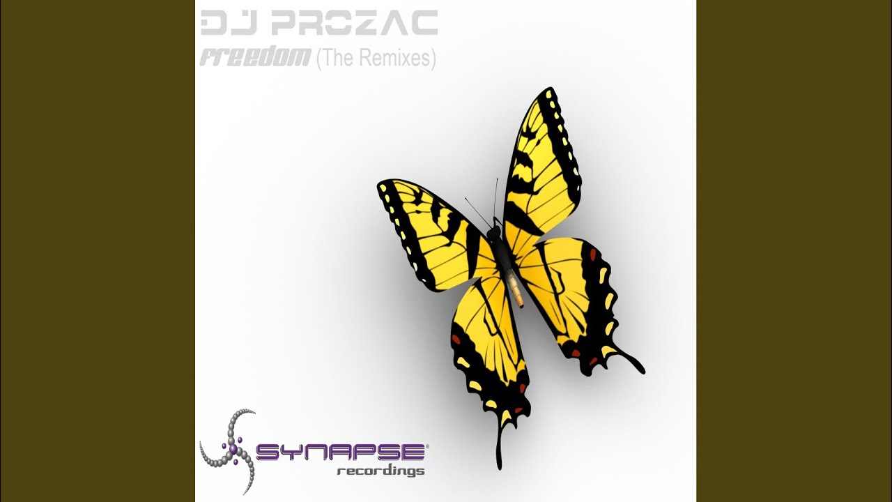 Freedom (Gigabyte's Dreamy Club Mix)