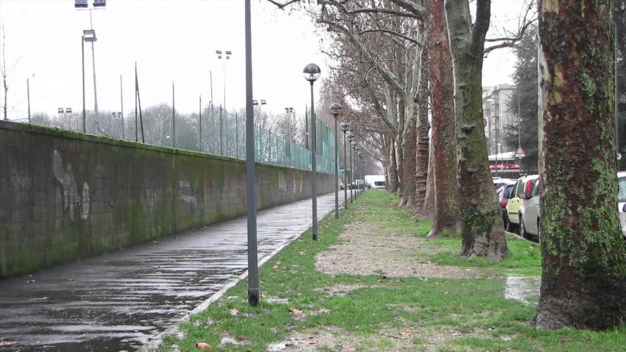 Francesco Demegni   TURA MUI