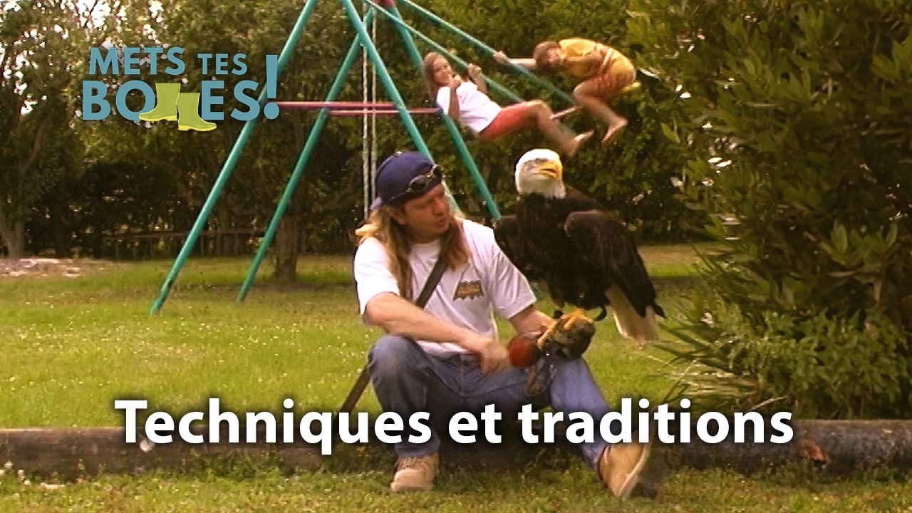 Chasse au vol : le savoir-faire ancestral des fauconniers français