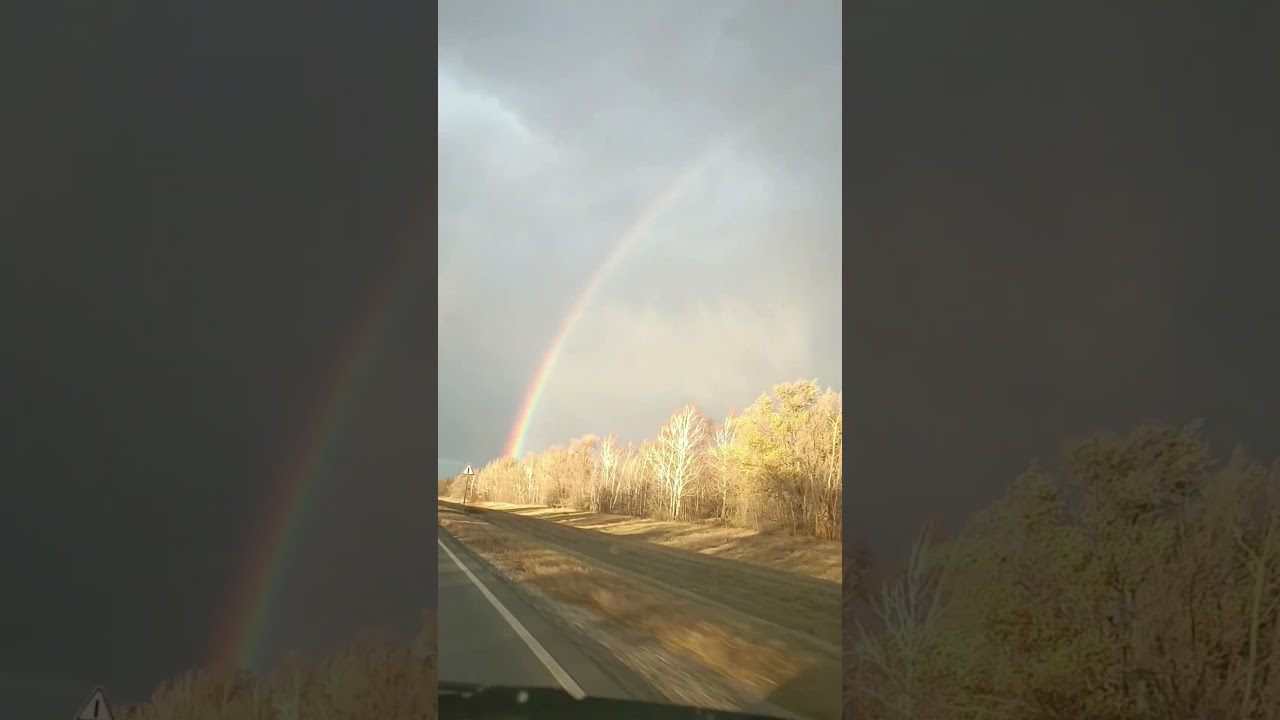02.11.2024 Радуга. Увидели вторую? #shorts #Саратовскаяобласть #ноябрь #rainbow