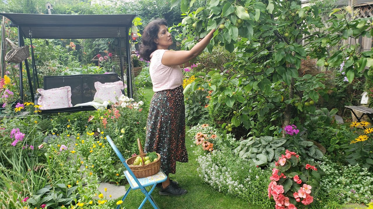 Enjoying and Relaxing in My City Garden