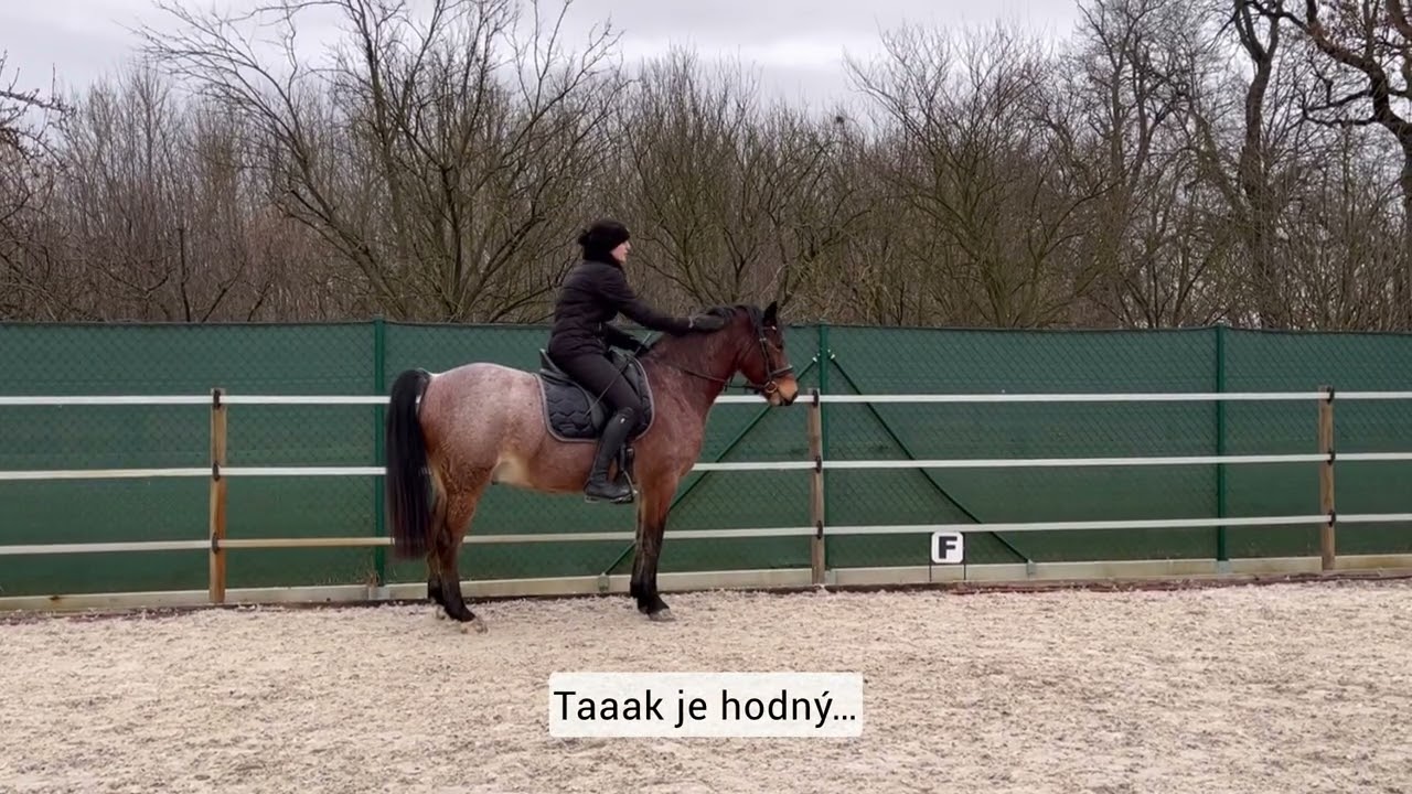 Domiko Messi - 5yo - cviky na dvou stopách, přechody
