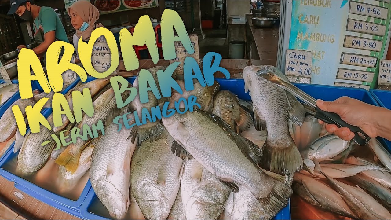 AROMA IKAN BAKAR MEMANG TERBAIK || lokasi di Jeram Selangor
