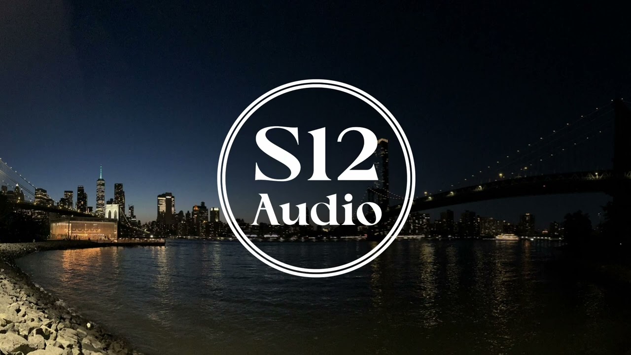 DJ Strong & Ensemble - Who Are You  [S12 Audio]