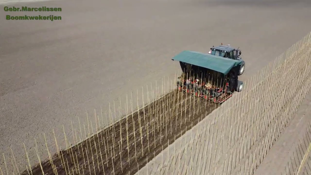 Boomkwekerij Gebr. Marcelissen, bomen plantmachine (5 rijen bomen en stokken); treeplanting machine.