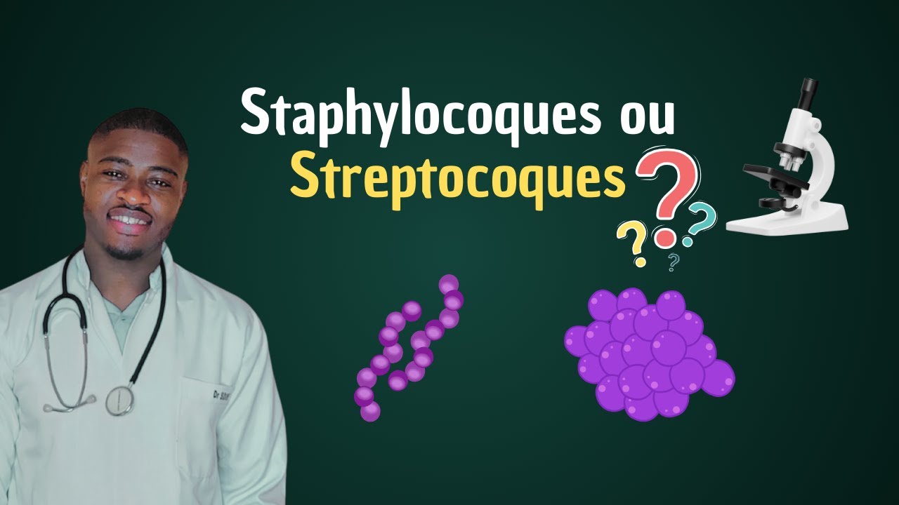 Cocci à Gram positif (Staphylocoques & Streptocoques) | Microbiologie Médicale USMLE High Yield