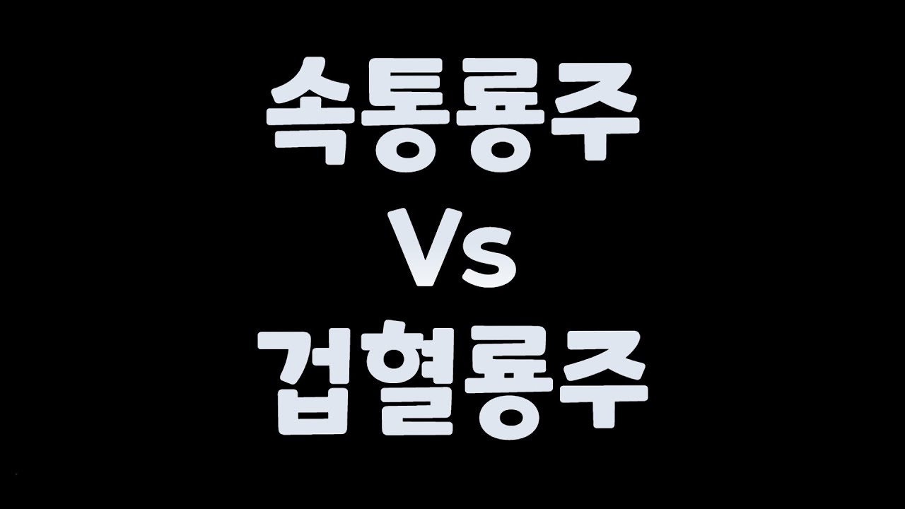 궁금해서 측정해본 영상 / 속통룡주 VS 겁혈룡주 속성 데미지 비교