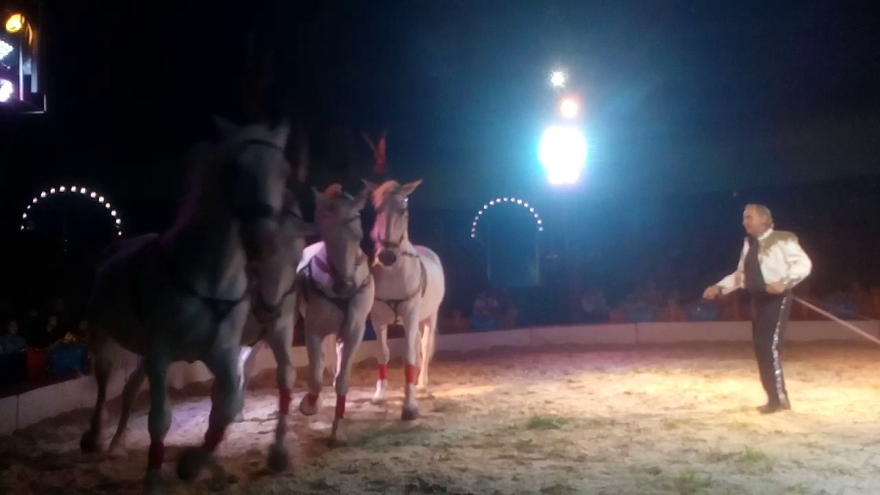 Circus Ale&scaron; 6