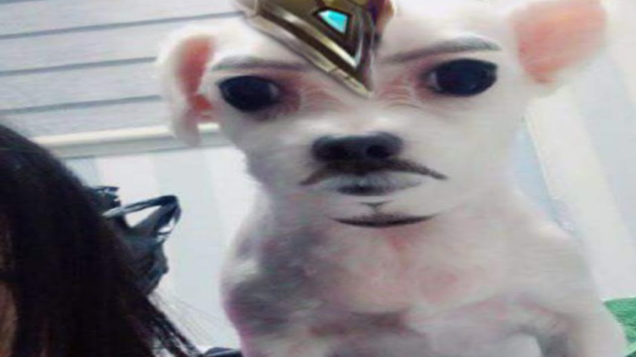 [ㅈ노잼 시리즈] 나서스2