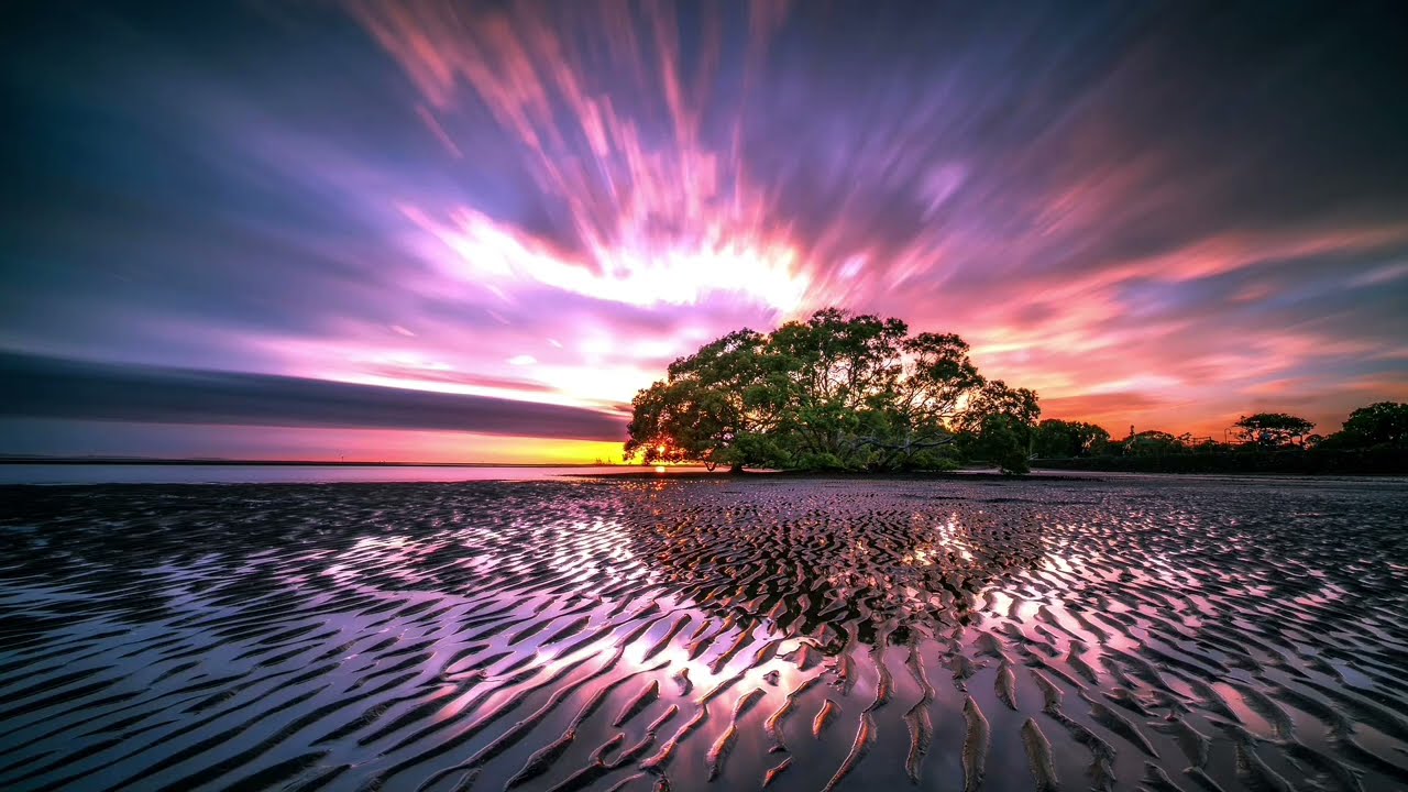 🎺🎸 Phrygian Dominion Nocturne | Cinematic Pure Flamenco Guitar Orchestral Manifesto 🎬