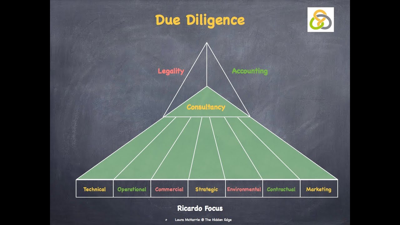 Ricardo Consulting Group Due Diligence