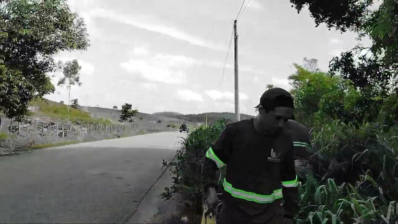 Tempo de muita fruta madura aqui em Alagoas manga e jaca. 