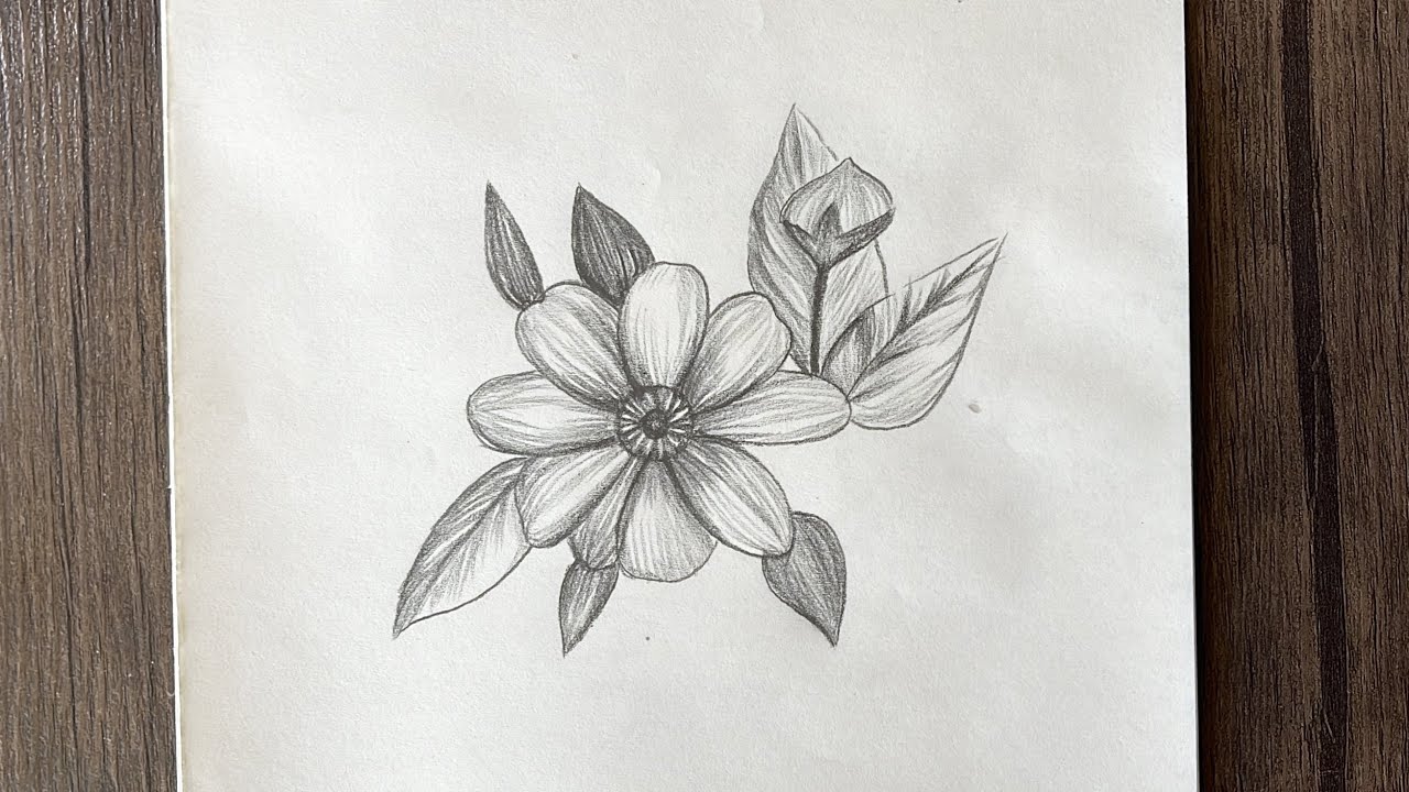 easy flower drawing step by step | beautiful things to draw | easy pencil drawing for beginners