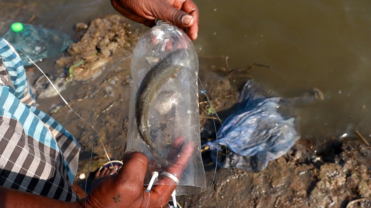 Catching Big Mullet Fish with Maida Powder Bait | Water Bottle Fishing Technique