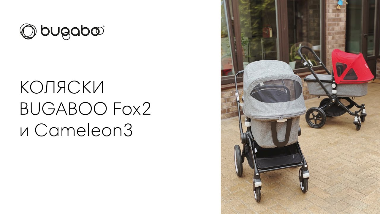 СРАВНЕНИЕ КОЛЯСОК BUGABOO FOX2 и CAMELEON3