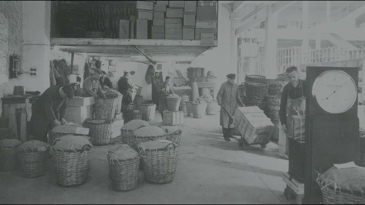 [🎥 100 ans de l'OCP] Épisode 2 : une entreprise nationale... de proximité !