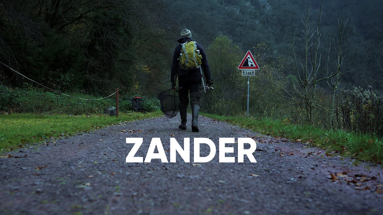 Schau dieses Video und FANG garantiert ZANDER!