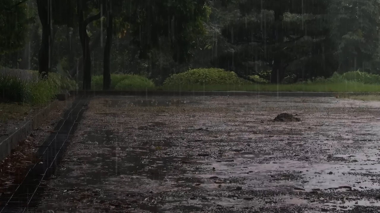 A sleepless dawn, the sound of heavy rain brings deep sleep, rain ASMR helps reduce insomnia.