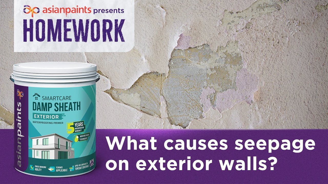 Prevent Exterior Wall Leakage & Seepage with SmartCare Waterproofing | Homework by Asian Paints