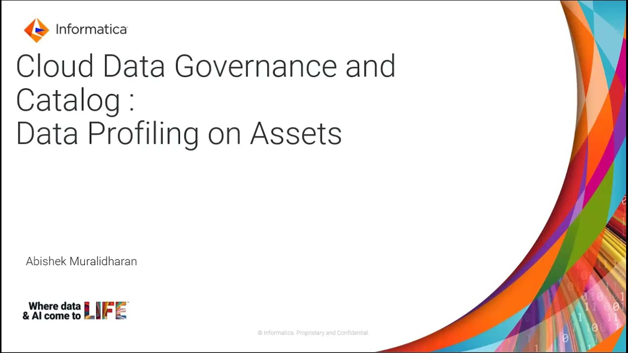 CDGC Deep Profiling &ndash; Data Asset Profile