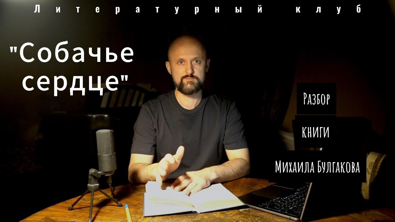 Михаил Булгаков. Разбор произведения 