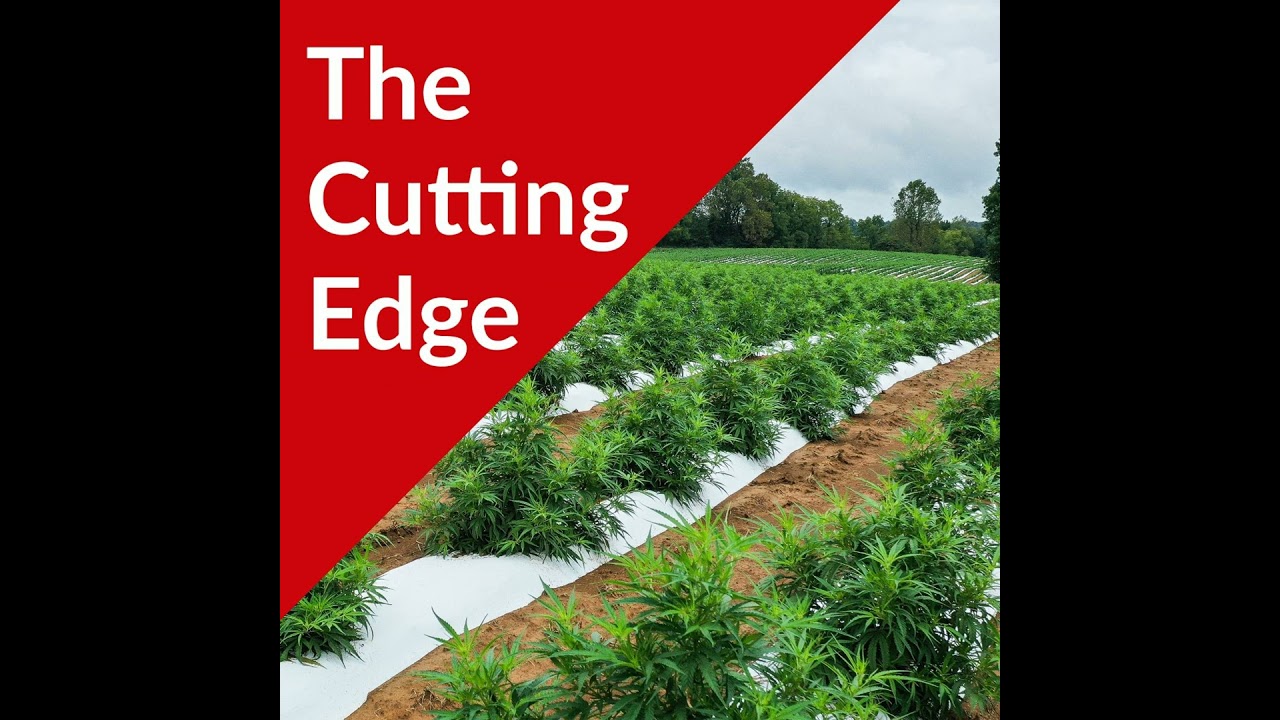 Episode #48: Field Notes, UW Hemp Research Updates