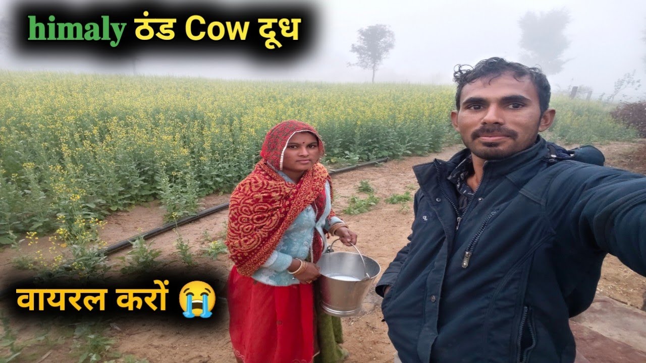 𝐇𝐢𝐦𝐚𝐥𝐲 𝐁𝐚𝐧 𝐠𝐚𝐲𝐚 𝐑𝐚𝐣𝐬𝐡𝐭𝐡𝐚𝐧 इतनी ज्यादा ठंड वाइफ काऊ दुध निकल ठंड village Life