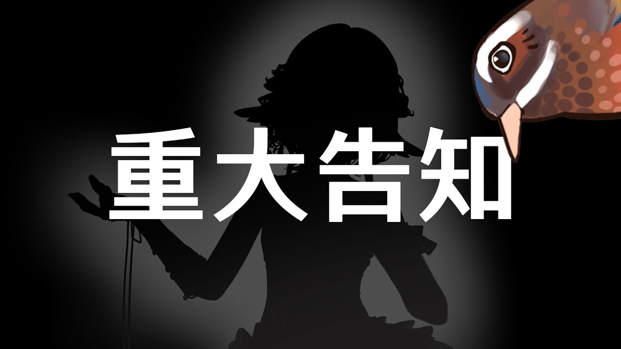 【重大告知】懵懵懂懂，走到了這一天✨ | 小金碧碧JinBee