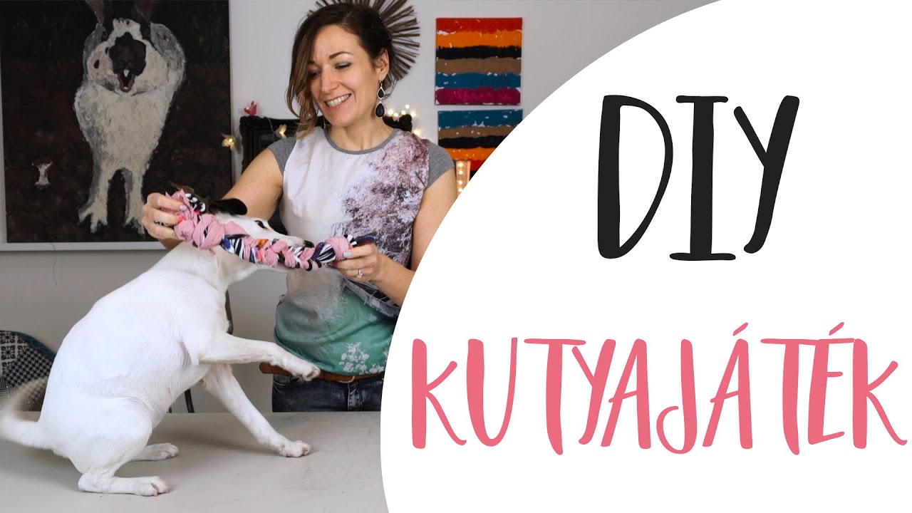 DIY Kutyajáték fillérekből | Kreatív újrahasznosítás- INSPIRACIOK.HU | Csorba Anita